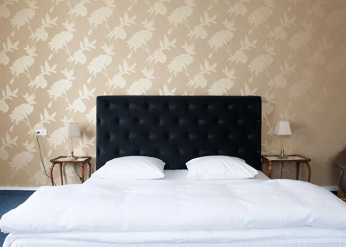 Matejki 8 4* שצ'צ'ין