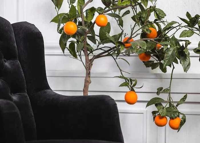 Matejki 8 Ξενοδοχείο με διαμερίσματα 4*