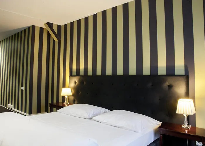 Matejki 8 מלון דירות